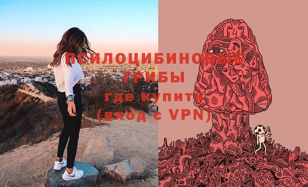 твердый Алексин
