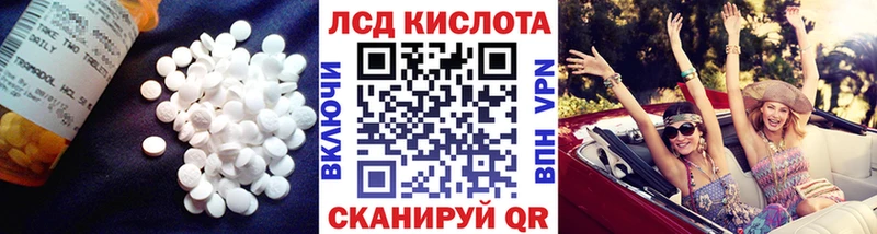 закладка mega вход LSD-25 экстази кислота Стародуб