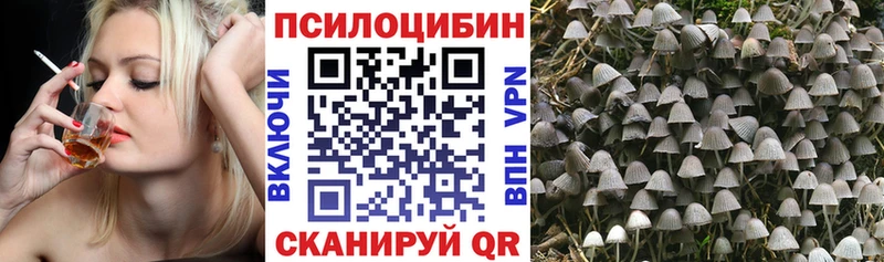 Псилоцибиновые грибы прущие грибы  Стародуб 